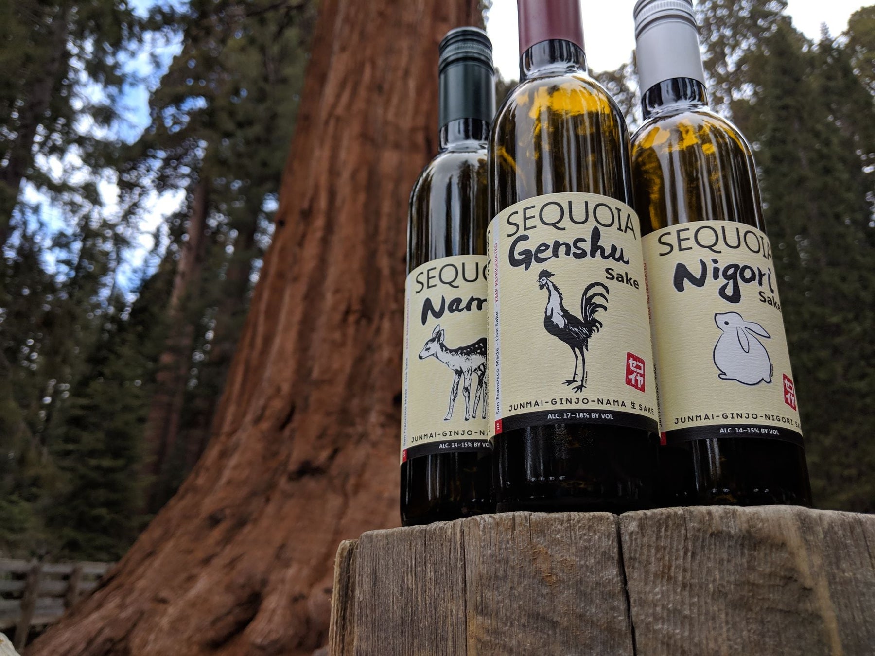 SAKE DAY’25 – Welcome Sake - Sequoia - Kuramotos