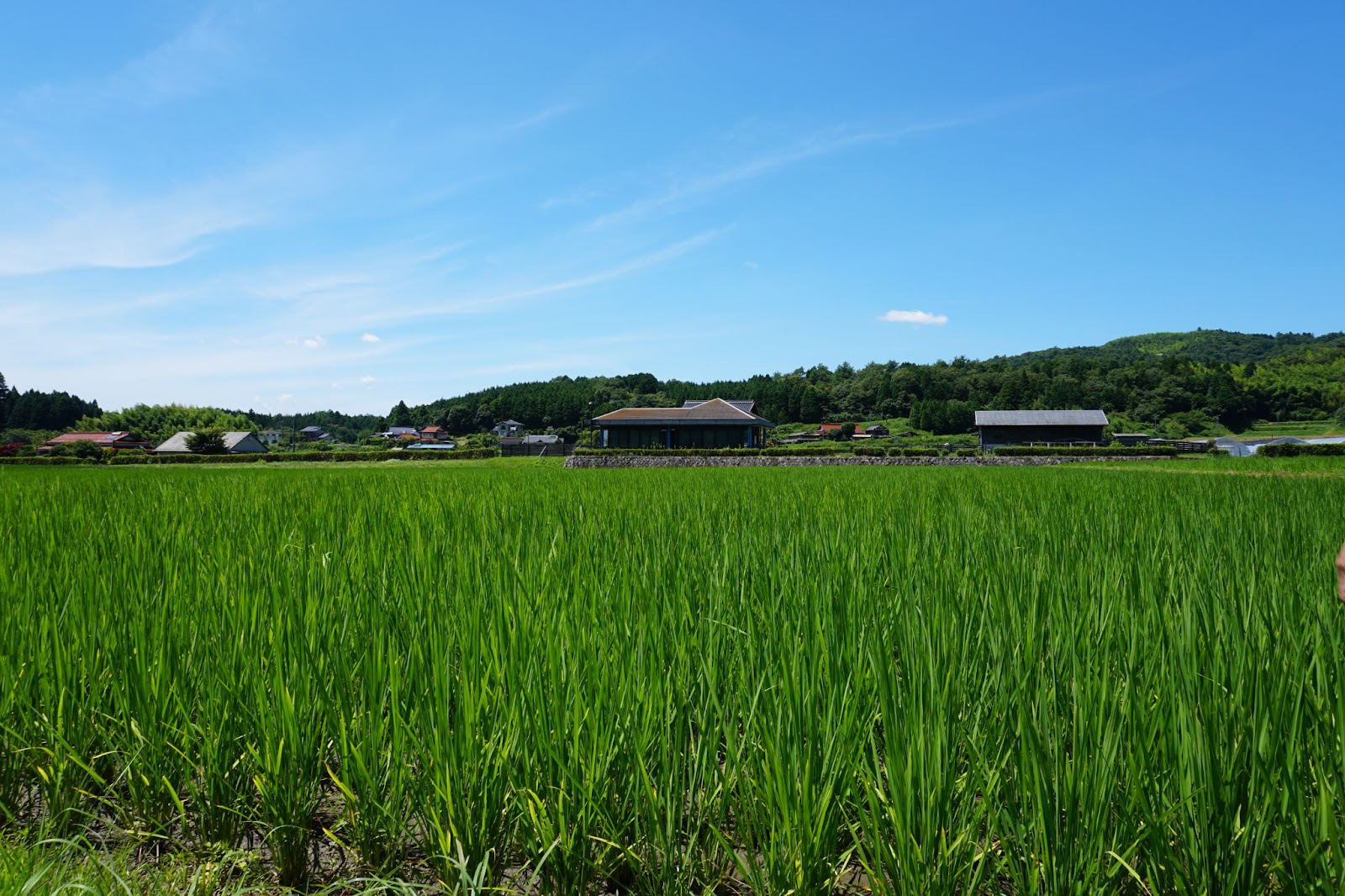 Sake Spotlight – Jim Rion Looks at Boucho Tsuro from Yamaguchi