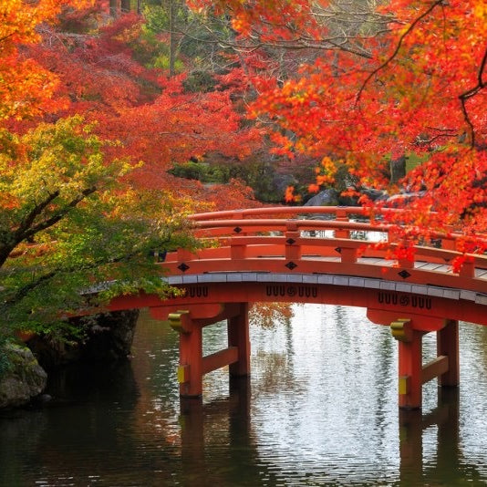 Sake Season – Fall Drafts are Starting to Fall In!