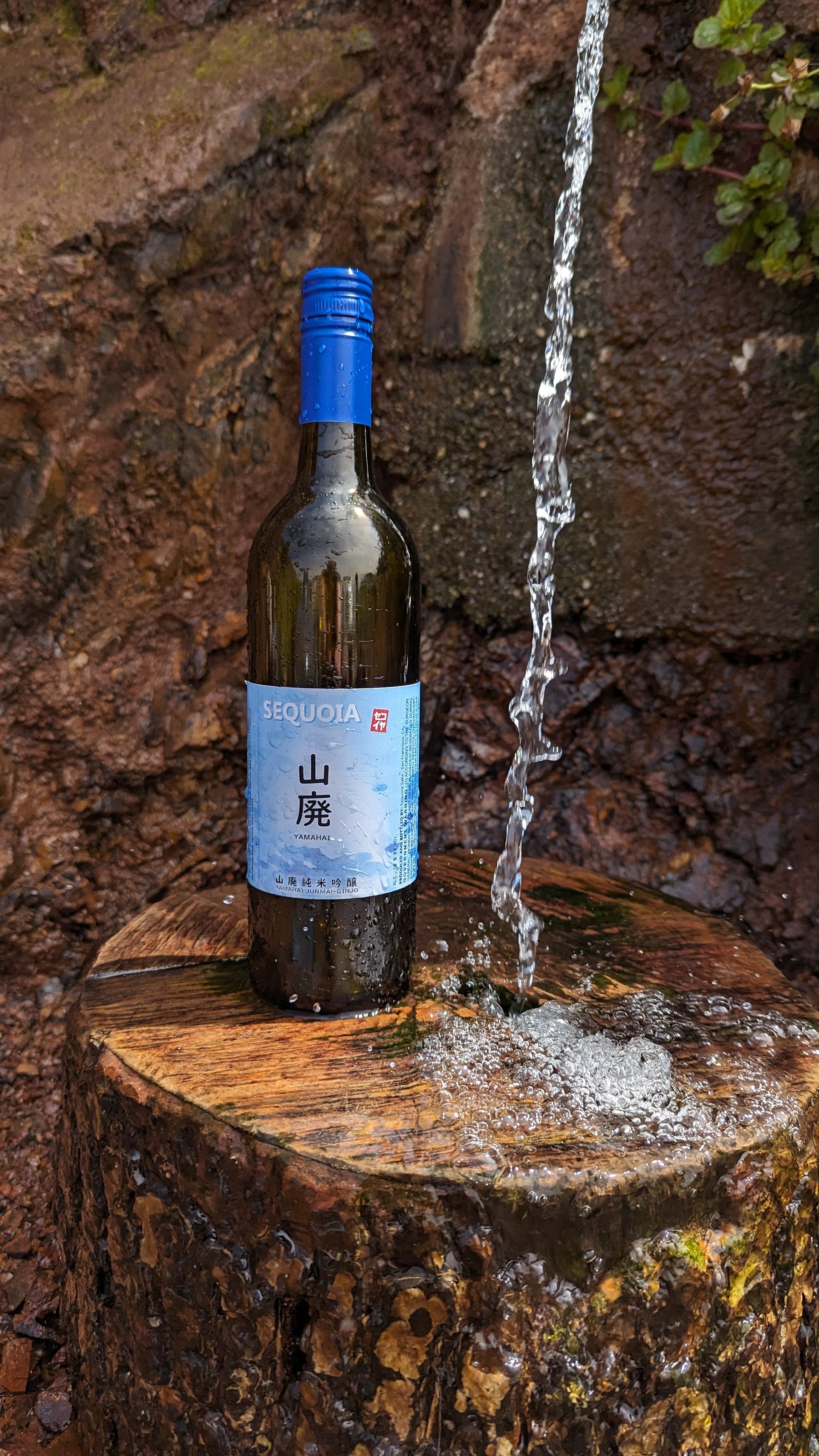 In-Store Tastings – November 18th Sequoia Sake