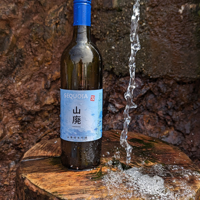 In-Store Tastings – November 18th Sequoia Sake