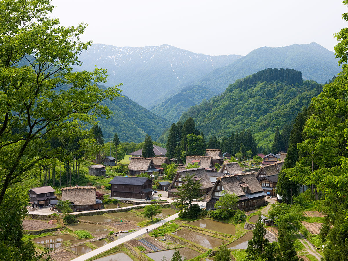 Sake Adventure – Join The Jizake Quest Tour to Ishikawa and Toyama Prefectures