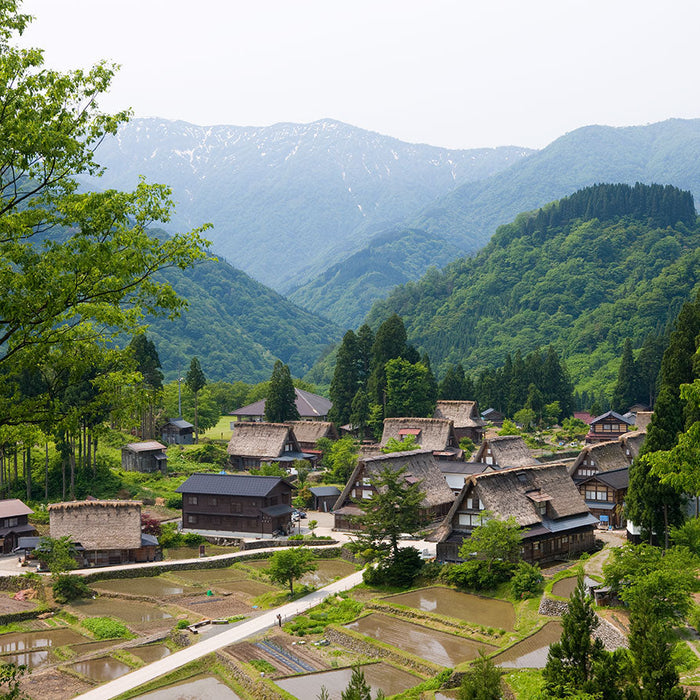 Sake Adventure – Join The Jizake Quest Tour to Ishikawa and Toyama Prefectures