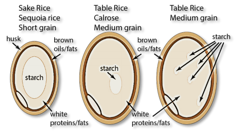 Sake Brewery – SF’s Sequoia Sake Is Rocking and Ricing!