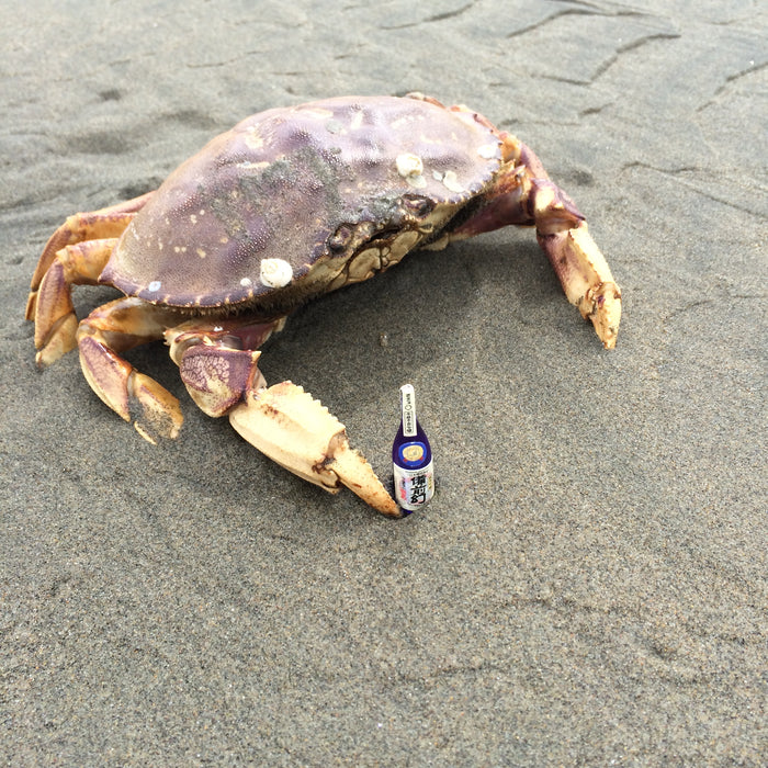 Sake Pairings – True Sake Cru Gets Crabby With Some Great Crab Pairing Brews